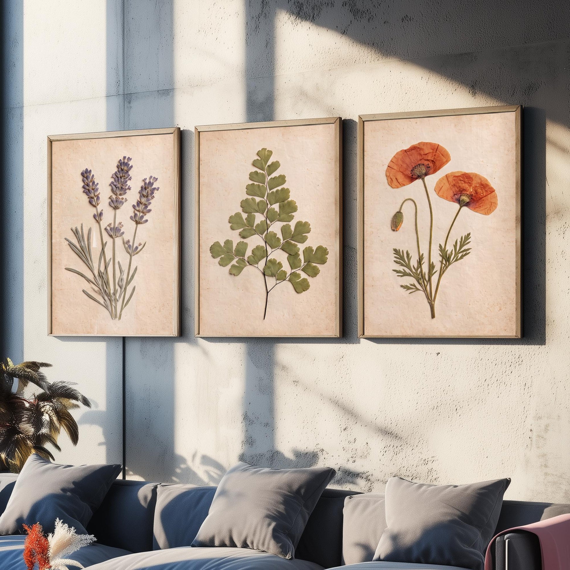 Set of Three Pressed Flower Art Prints - Lavender Maidenhair Fern and Poppy - Vintage Herbarium Photo Posters - French Country Botanical