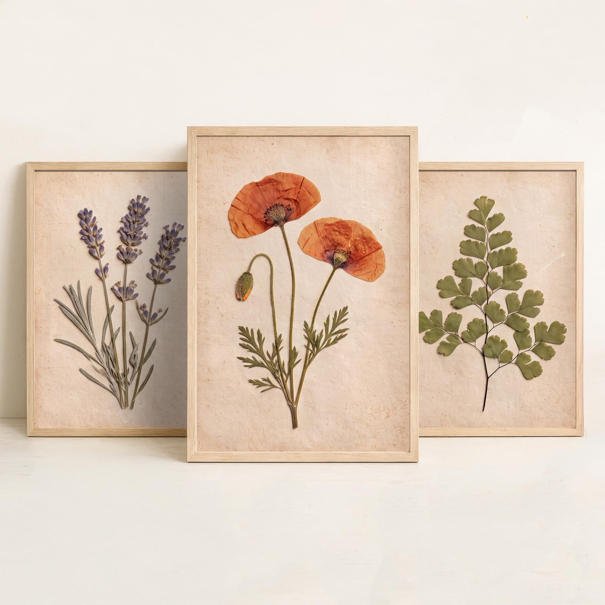 Set of Three Pressed Flower Art Prints - Lavender Maidenhair Fern and Poppy - Vintage Herbarium Photo Posters - French Country Botanical