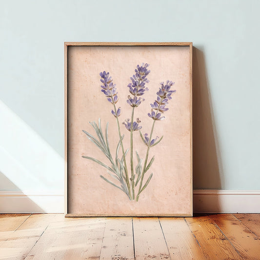 Lavender Watercolour Art Print - Vintage Pressed Flower Style Painting - Provence Herb Poster - French Country Botanical 1/3