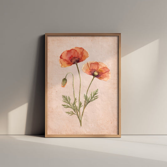 Poppy Watercolour Art Print - Red Field Poppies Painting - Vintage Pressed Flower Style Poster - Soft Cottage Botanical 3/3