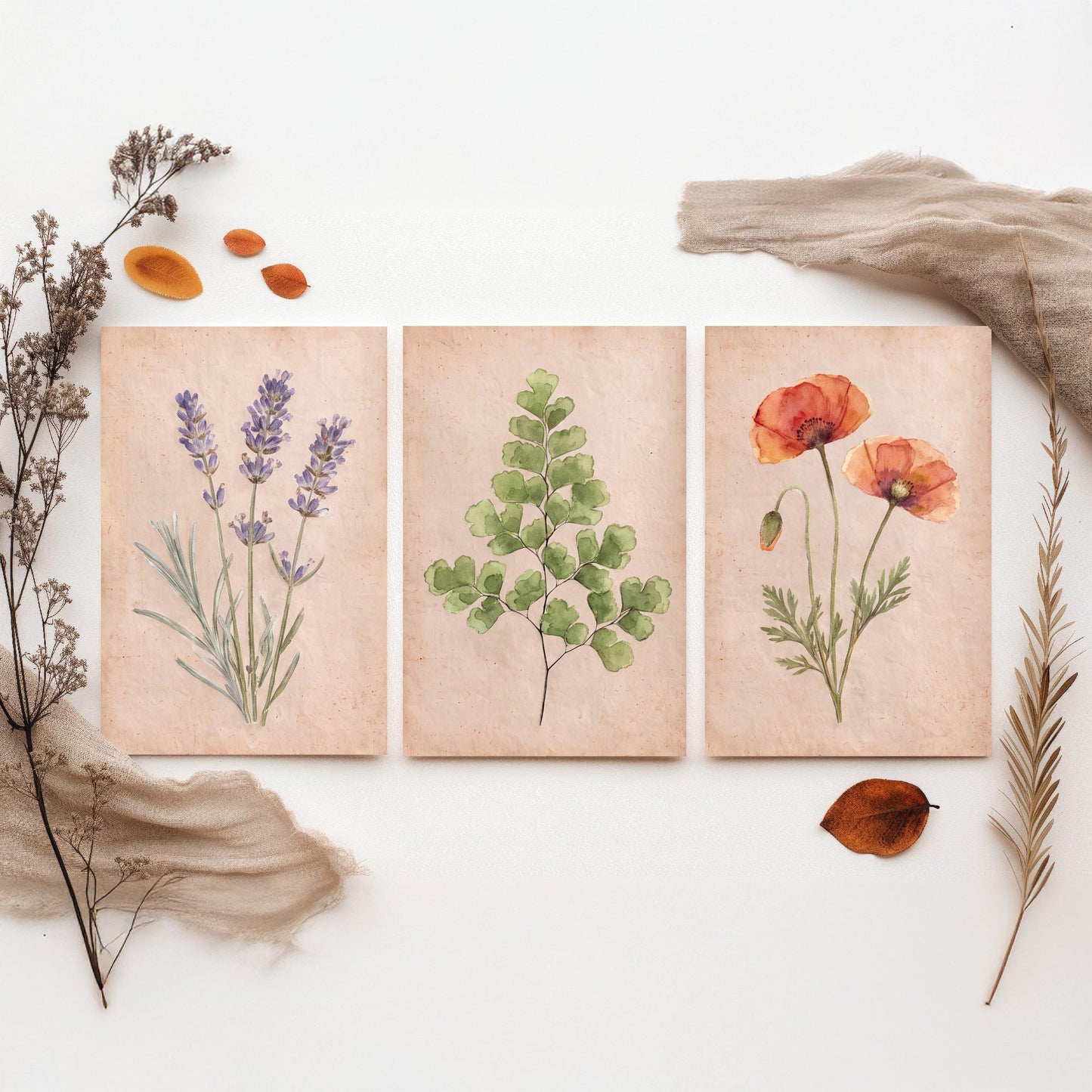 Lavender Maidenhair Fern and Poppy Watercolour Set of Three Art Prints - Soft Botanical Posters - Vintage Pressed Flower Style Painting