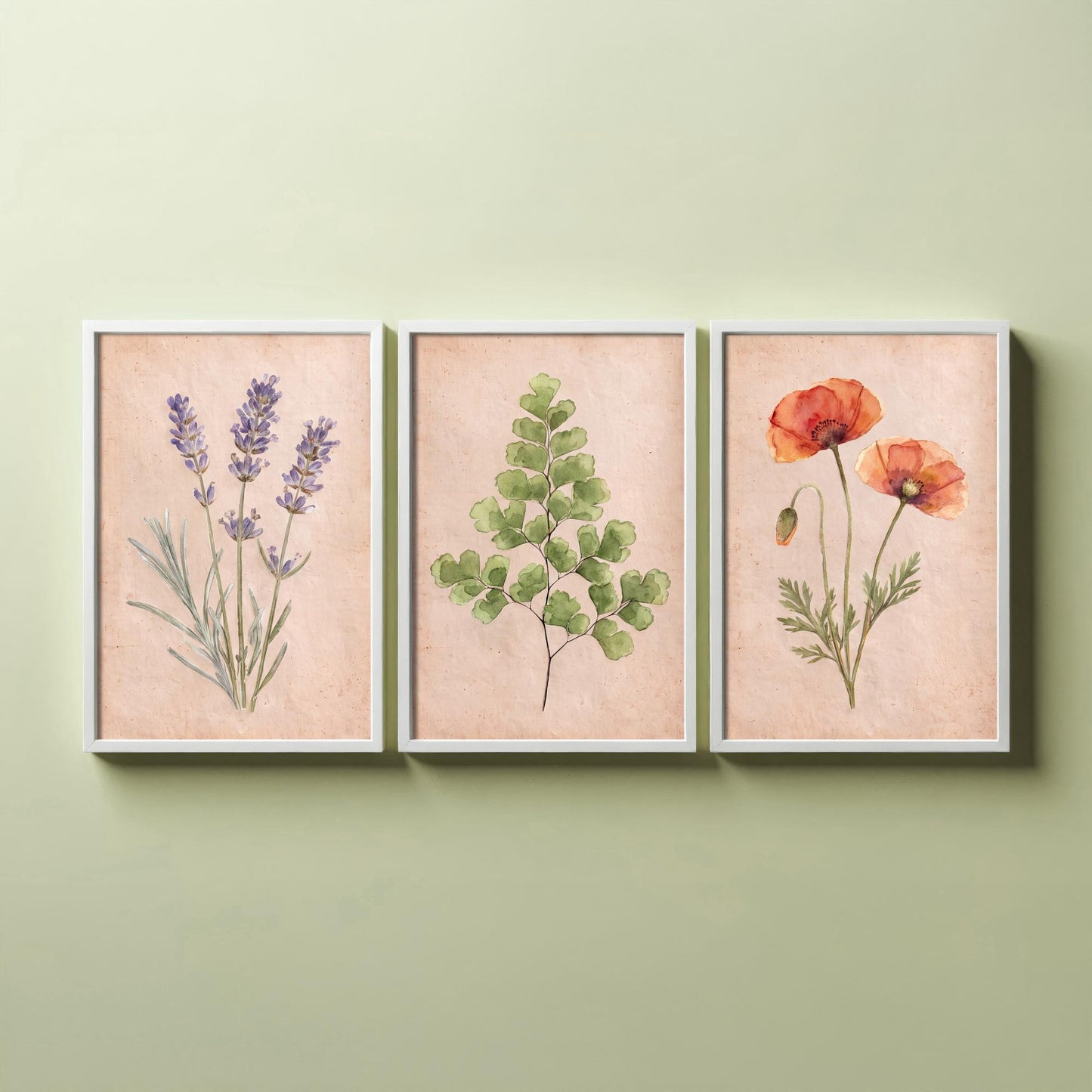 Lavender Maidenhair Fern and Poppy Watercolour Set of Three Art Prints - Soft Botanical Posters - Vintage Pressed Flower Style Painting