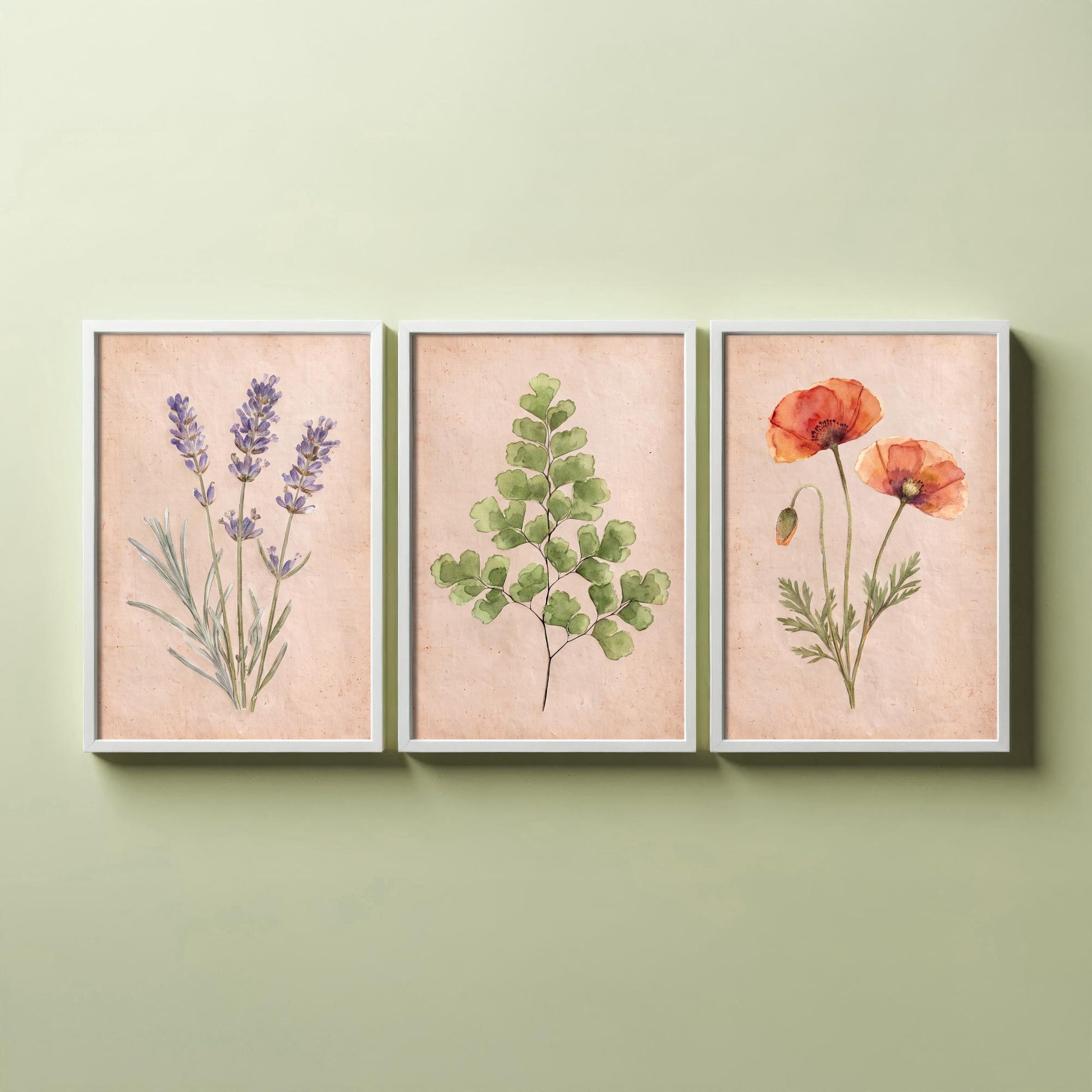 Lavender Maidenhair Fern and Poppy Watercolour Set of Three Art Prints - Soft Botanical Posters - Vintage Pressed Flower Style Painting
