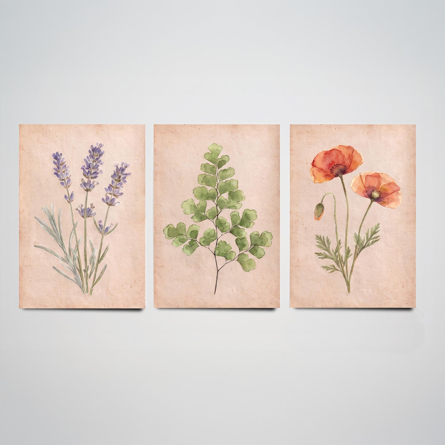 Lavender Maidenhair Fern and Poppy Watercolour Set of Three Art Prints - Soft Botanical Posters - Vintage Pressed Flower Style Painting