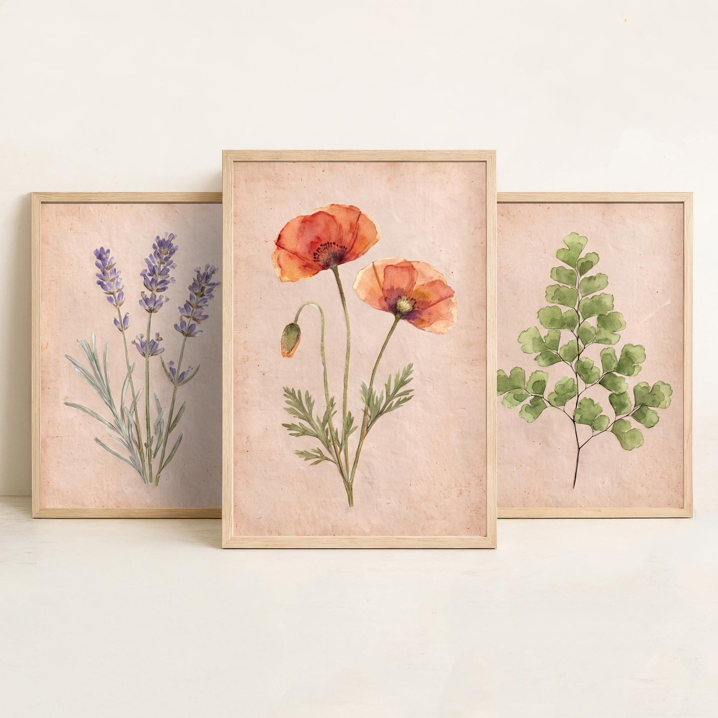 Lavender Maidenhair Fern and Poppy Watercolour Set of Three Art Prints - Soft Botanical Posters - Vintage Pressed Flower Style Painting