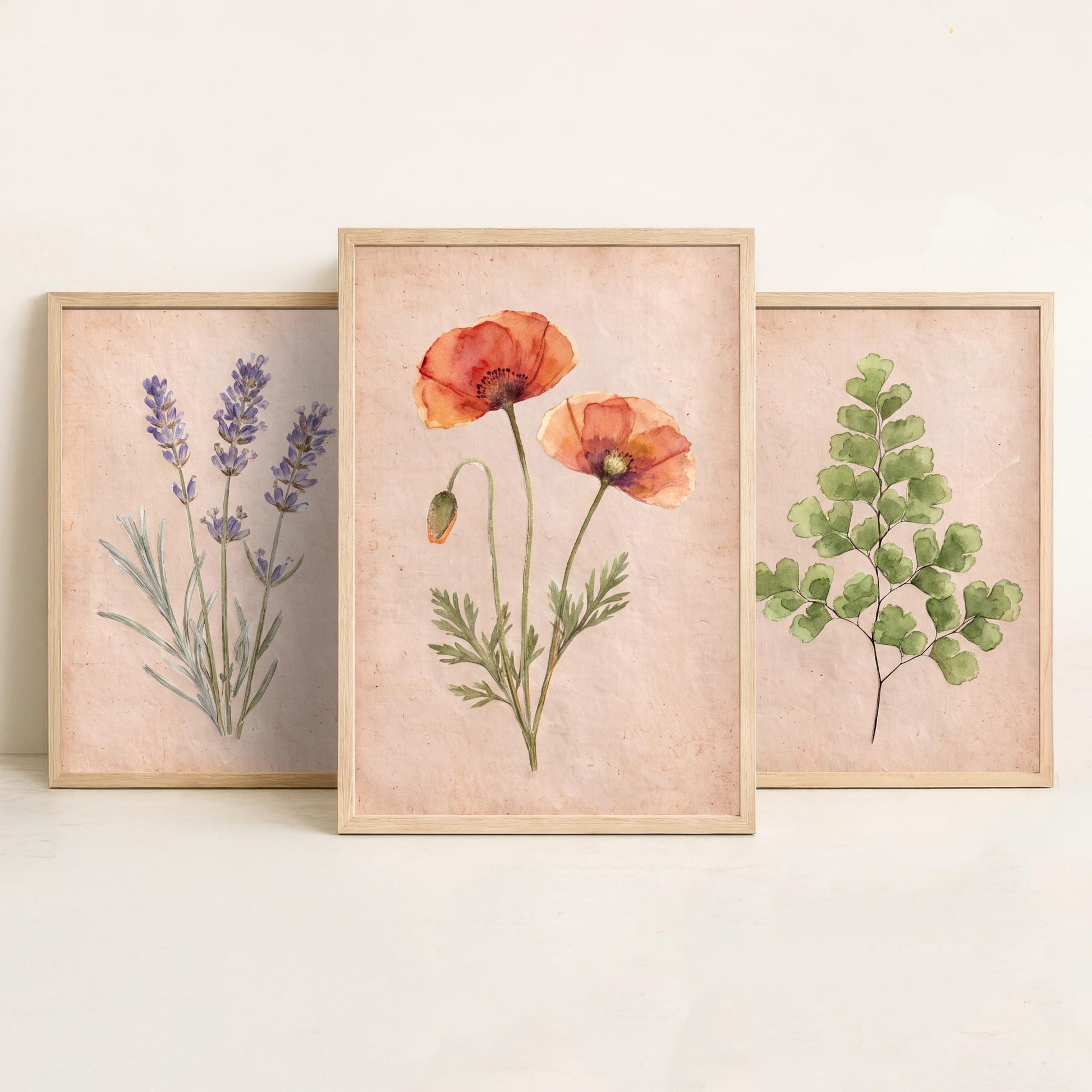 Lavender Maidenhair Fern and Poppy Watercolour Set of Three Art Prints - Soft Botanical Posters - Vintage Pressed Flower Style Painting
