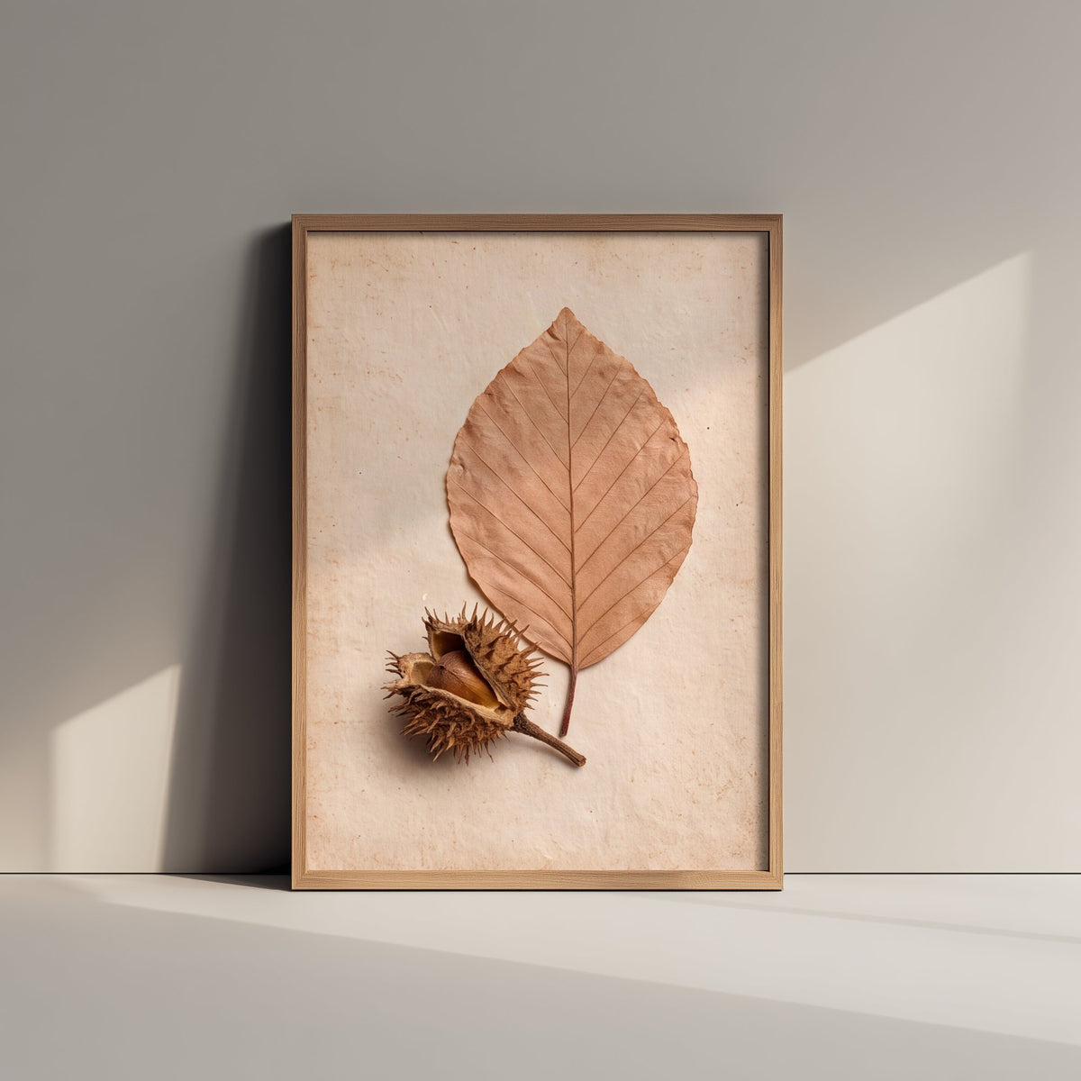 Beech Leaf Art Print - New Forest Pressed Autumn Leaf and Beech Nut Photo - Vintage Herbarium Poster - Rustic Botanical 1/3