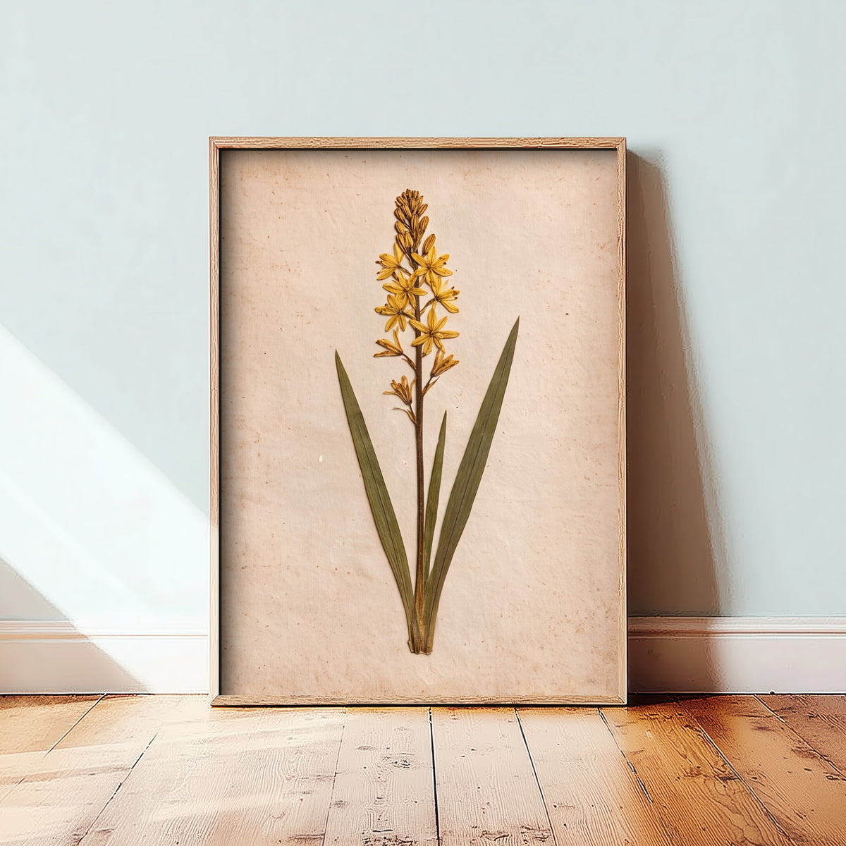 Bog Asphodel Art Print - New Forest Wildflower Photo - Vintage Pressed Herbarium Poster - Yellow Heathland Botanical 2/3