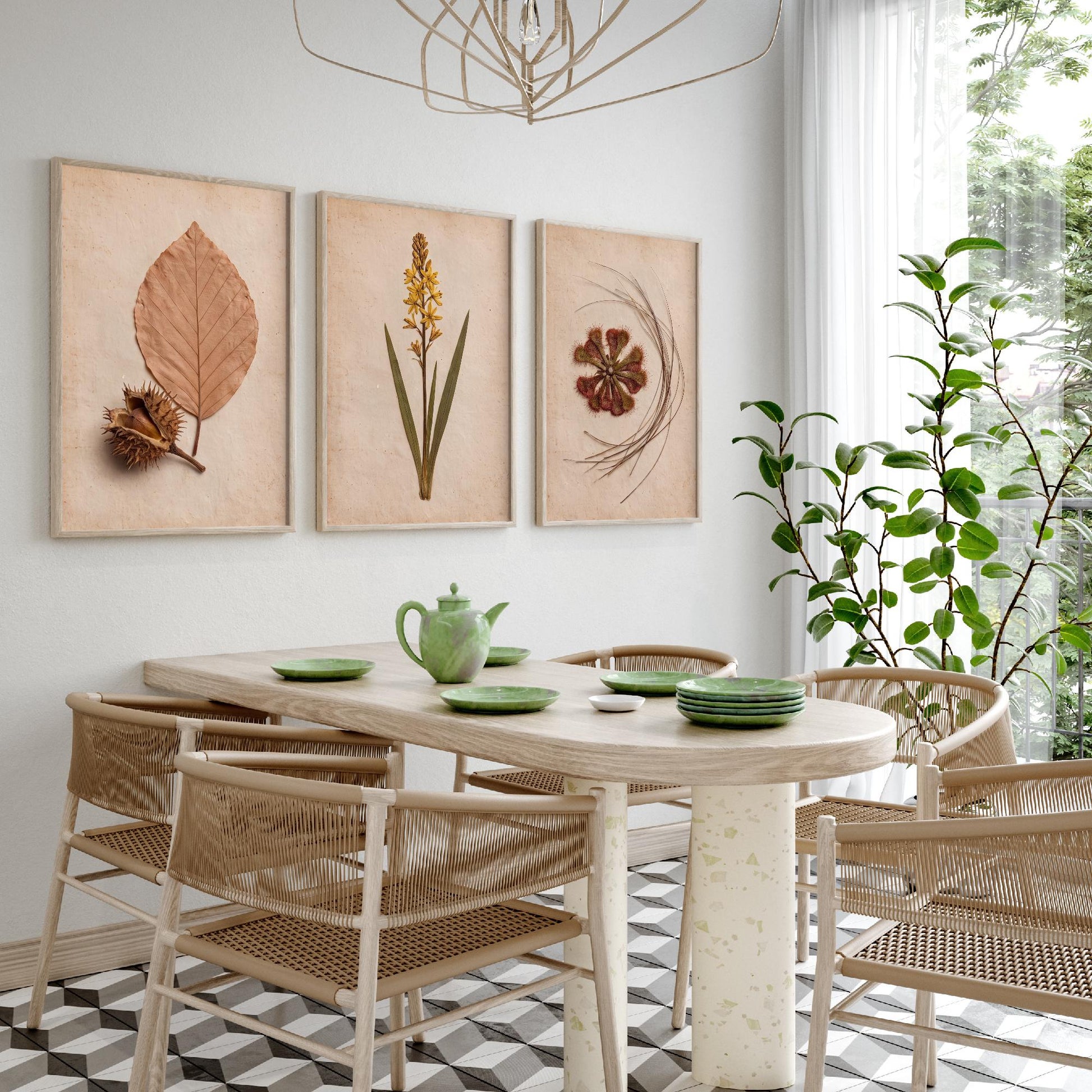 New Forest Set of Three Art Prints - Pressed Beech Leaf, Bog Asphodel, Sundew - Heathland Herbarium Photo Posters - Wild Botanical Decor