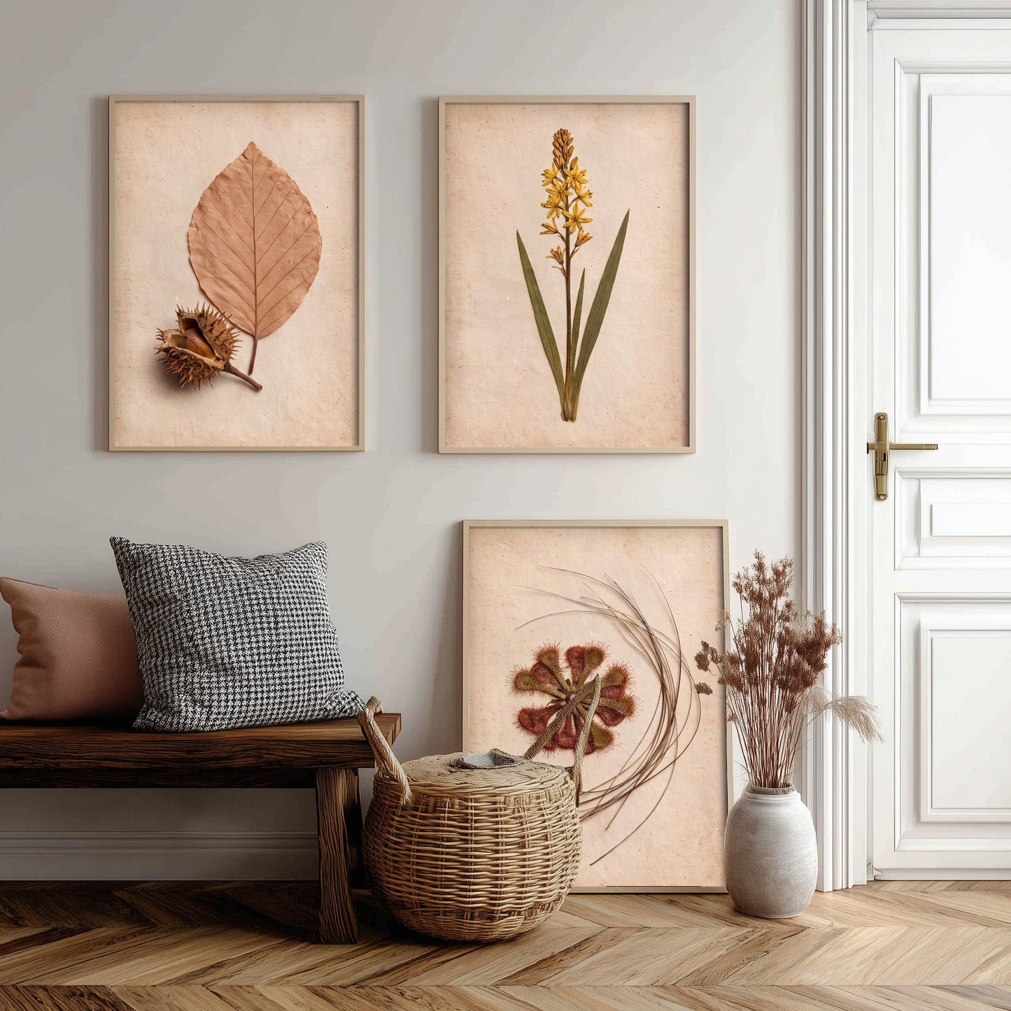 New Forest Set of Three Art Prints - Pressed Beech Leaf, Bog Asphodel, Sundew - Heathland Herbarium Photo Posters - Wild Botanical Decor