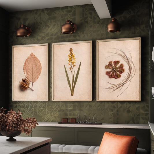 New Forest Set of Three Art Prints - Pressed Beech Leaf, Bog Asphodel, Sundew - Heathland Herbarium Photo Posters - Wild Botanical Decor