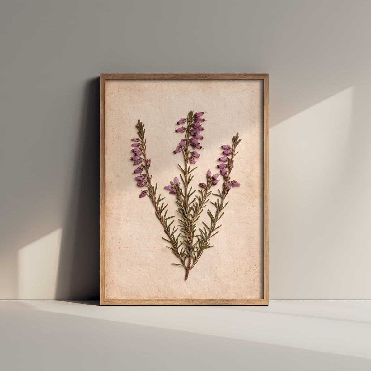 Bell Heather Art Print - New Forest Pressed Heather Photo - Vintage Purple Heathland Poster - Hampshire Botanical 1/3