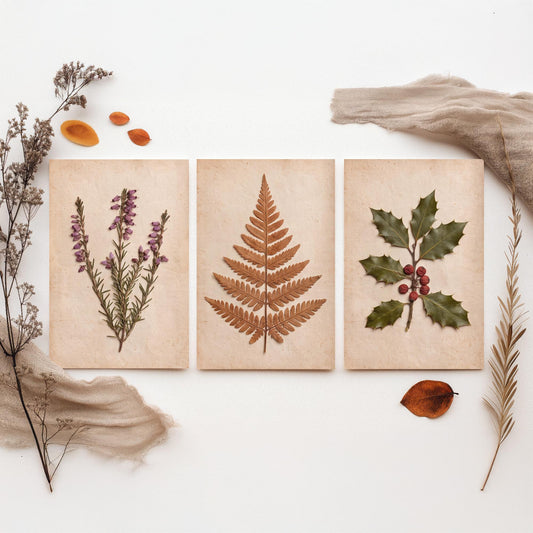 Set of Three New Forest Art Prints - Bell Heather Bracken and Holly - Pressed Woodland Photo Posters - Vintage Hampshire Botanical Decor