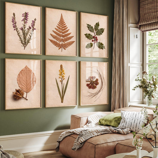 Set of Six New Forest Pressed Botanical Art Prints - 6 Heathland Photo Posters - Heather, Bracken, Holly, Sundew, Bog Asphodel, Beech Nut