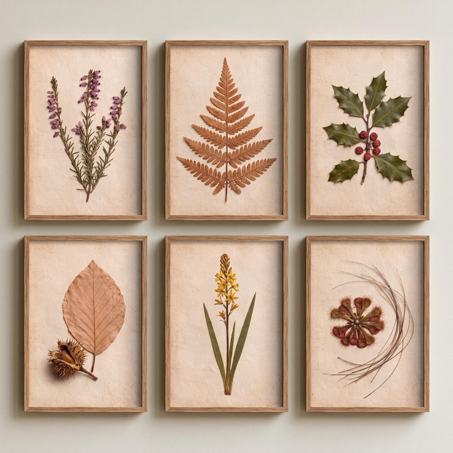 Set of Six New Forest Pressed Botanical Art Prints - 6 Heathland Photo Posters - Heather, Bracken, Holly, Sundew, Bog Asphodel, Beech Nut