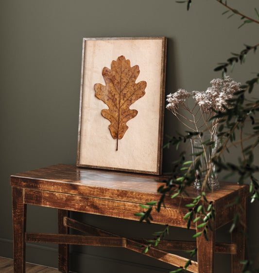 Pressed Oak Leaf Art Print - Vintage Autumn Herbarium Photo - Rustic Neutral Botanical Poster 1/3