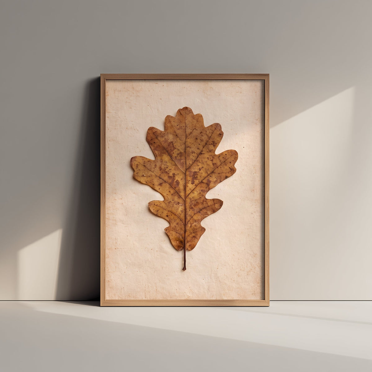 Pressed Oak Leaf Art Print - Vintage Autumn Herbarium Photo - Rustic Neutral Botanical Poster 1/3
