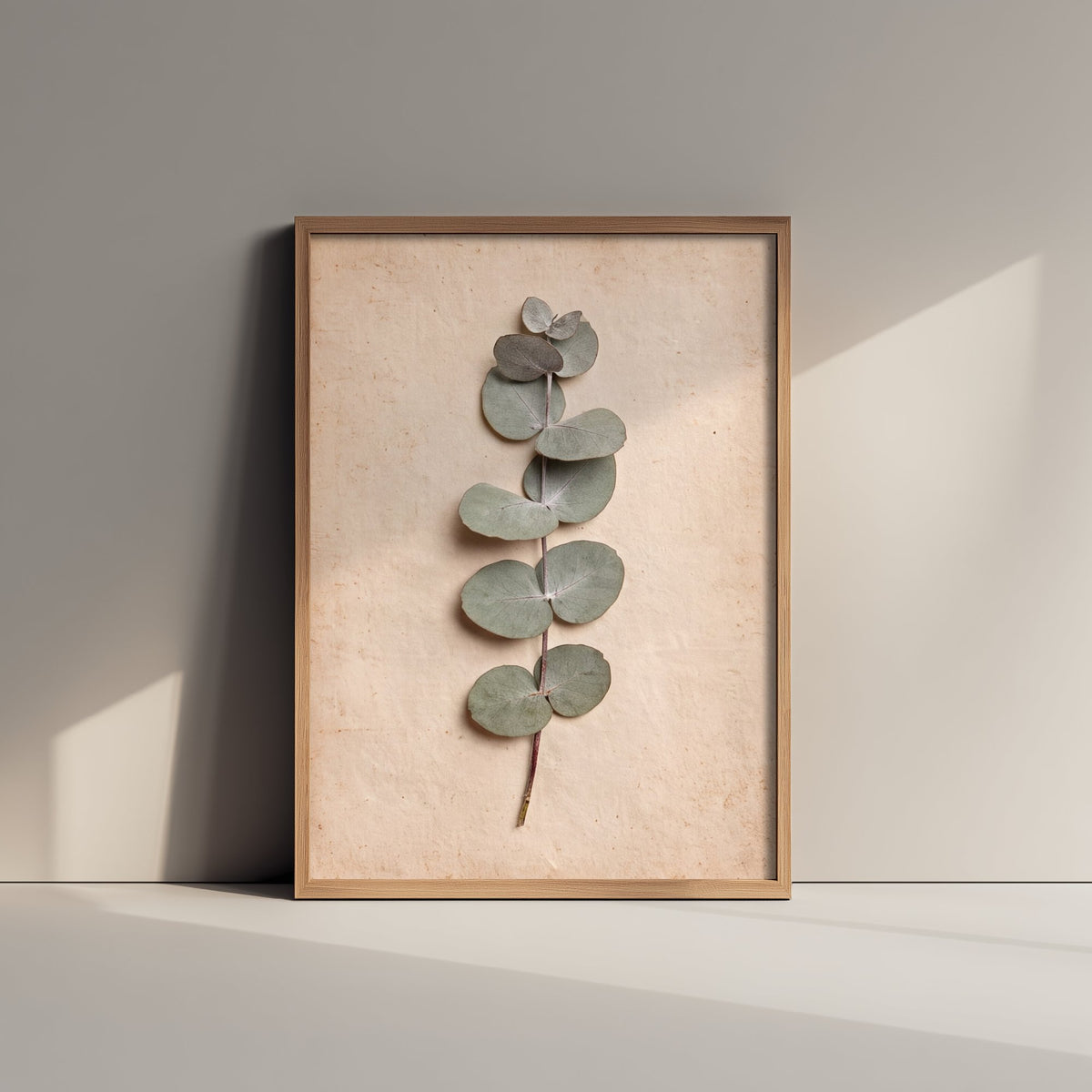 Pressed Eucalyptus Sprig Art Print - Sage Green Botanical Poster - Vintage Herbarium Photo 3/3