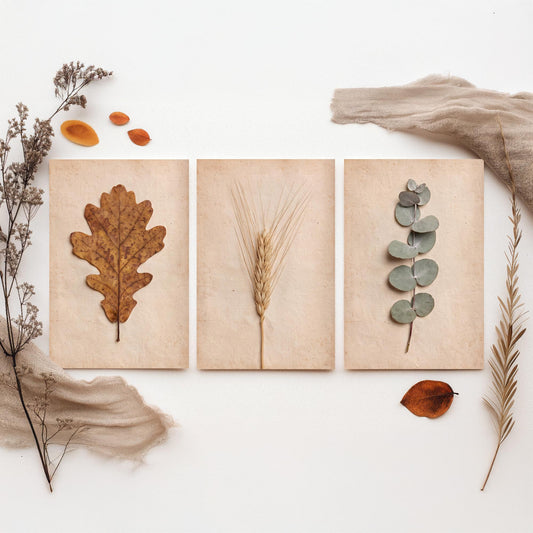 Pressed Oak Leaf Wheat and Eucalyptus Set of Three Art Prints - Vintage Neutral Herbarium Photo Posters - Rustic Autumn Botanical Decor