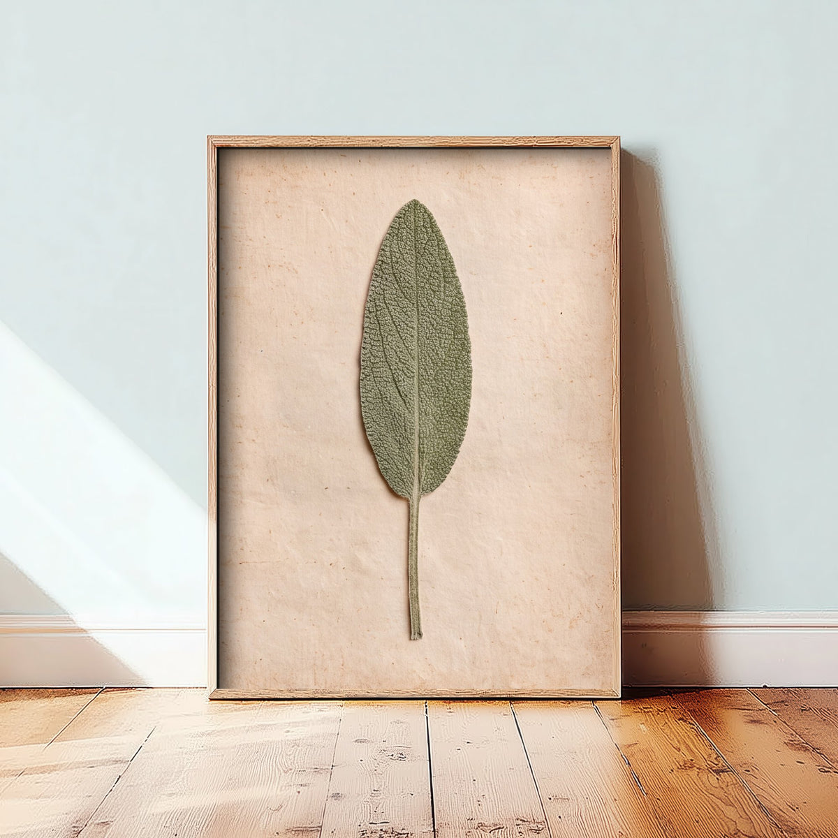 Pressed Sage Leaf Art Print - Vintage Kitchen Herbarium Photo - Culinary Herb Poster 1/3
