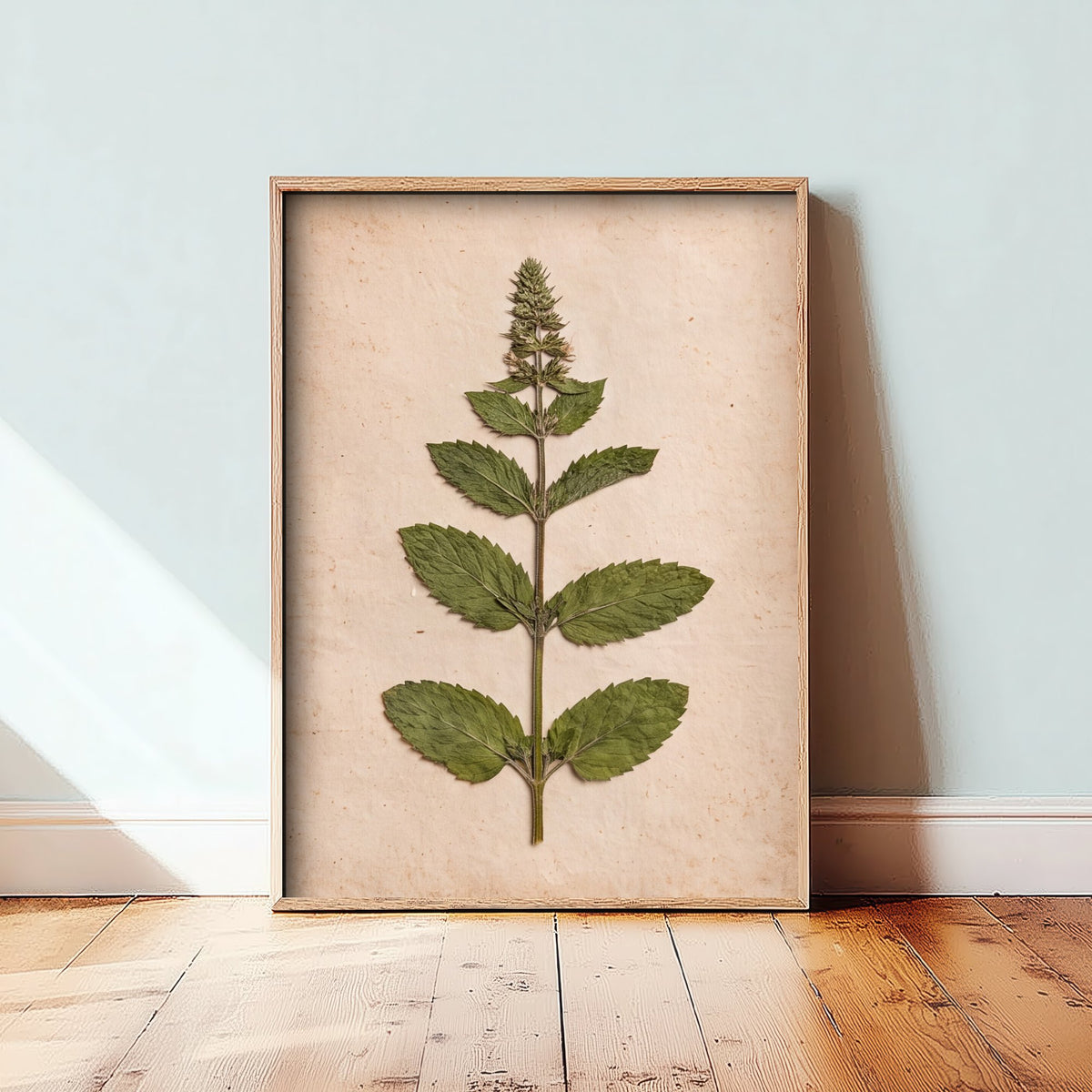 Pressed Mint Sprig Art Print - Vintage Kitchen Herbarium Photo - Cottage Culinary Herb Poster 2/3