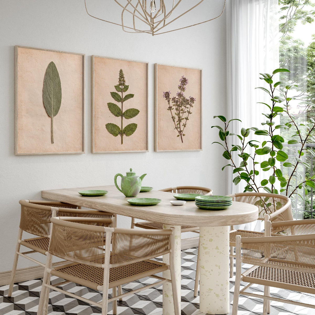 Pressed Herbs Set of Three Art Prints - Sage Mint Thyme - Vintage Kitchen Herbarium Poster Photo