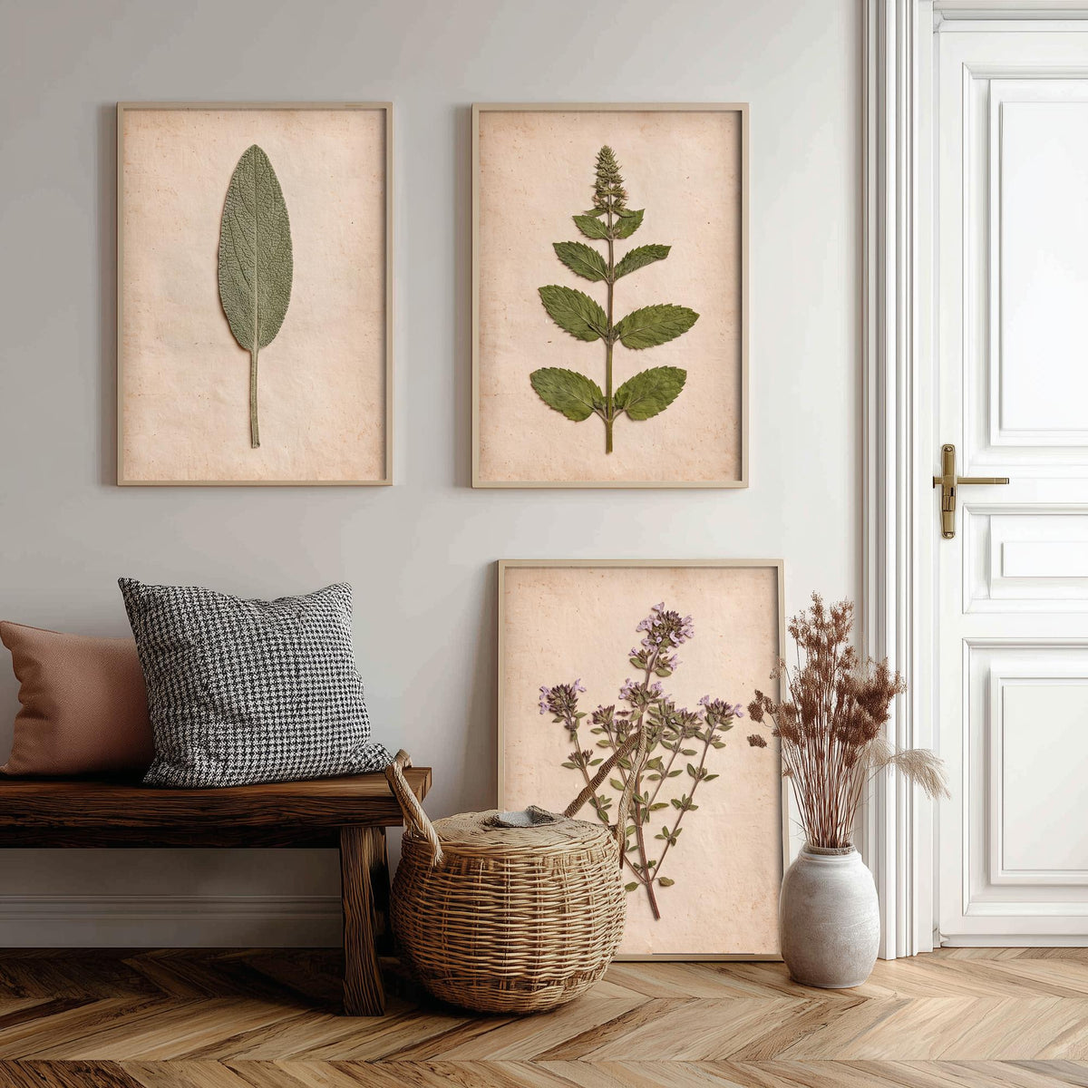 Pressed Herbs Set of Three Art Prints - Sage Mint Thyme - Vintage Kitchen Herbarium Poster Photo