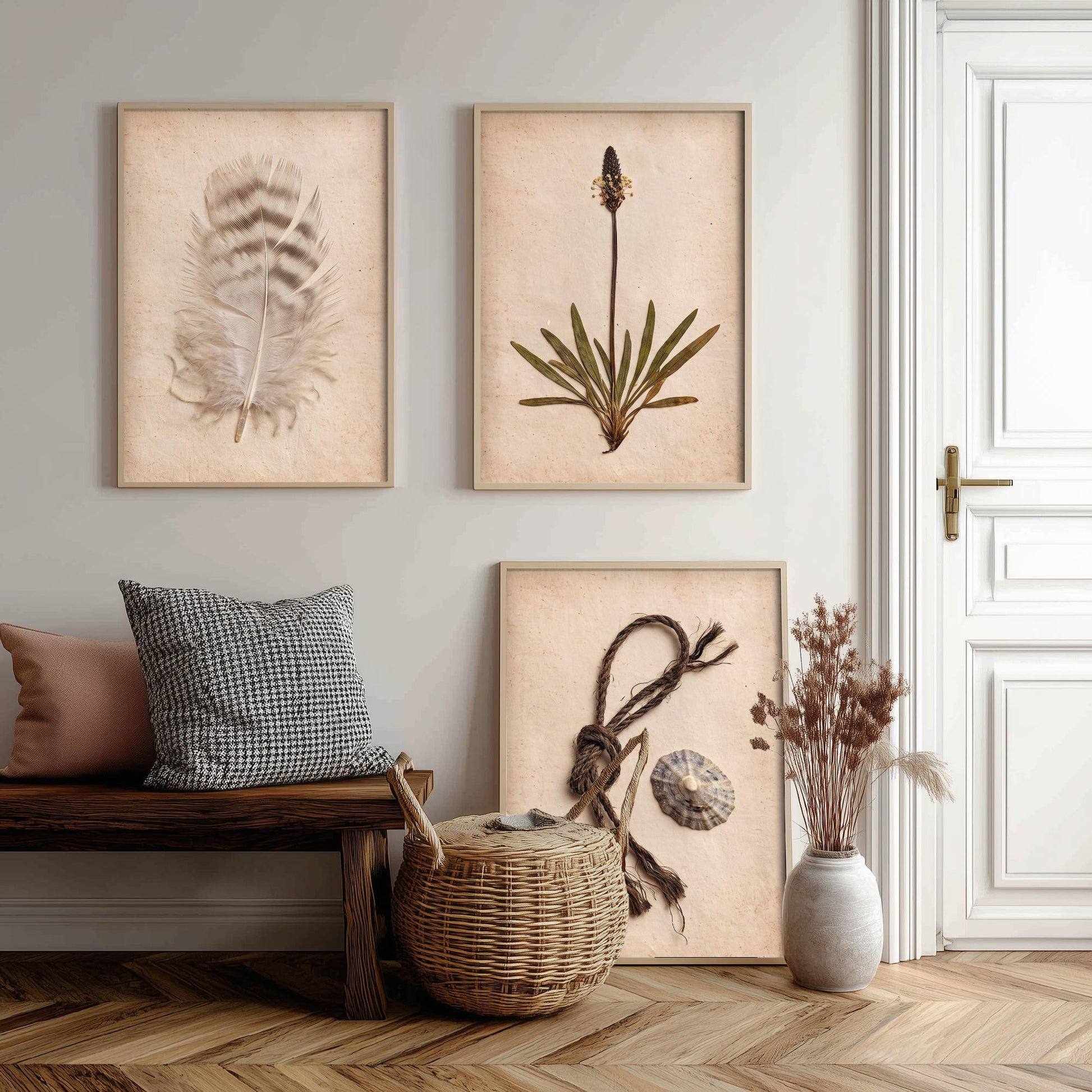 Shetland Beachcombing Set of Three Art Prints - Feather Sea Plantain Fishing Twine and Limpet Shells - Coastal Herbarium Poster Photo