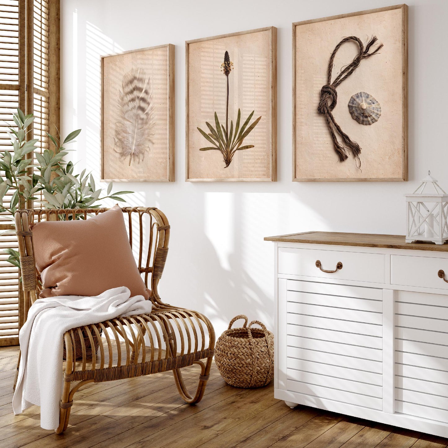 Shetland Beachcombing Set of Three Art Prints - Feather Sea Plantain Fishing Twine and Limpet Shells - Coastal Herbarium Poster Photo