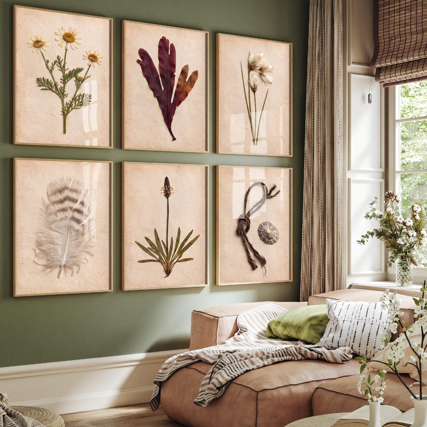 Set of Six Shetland Coastal Pressed Botanical Art Prints - 6 Crofting Photo Posters - Sea Mayweed, Dulse, Cotton Grass, Feather, Limpet