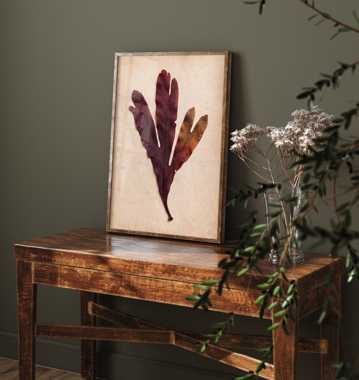 Dulse Seaweed Art Print - Vintage Pressed Herbarium Photo - Deep Red Shetland Shoreline Botanical Poster 2/3