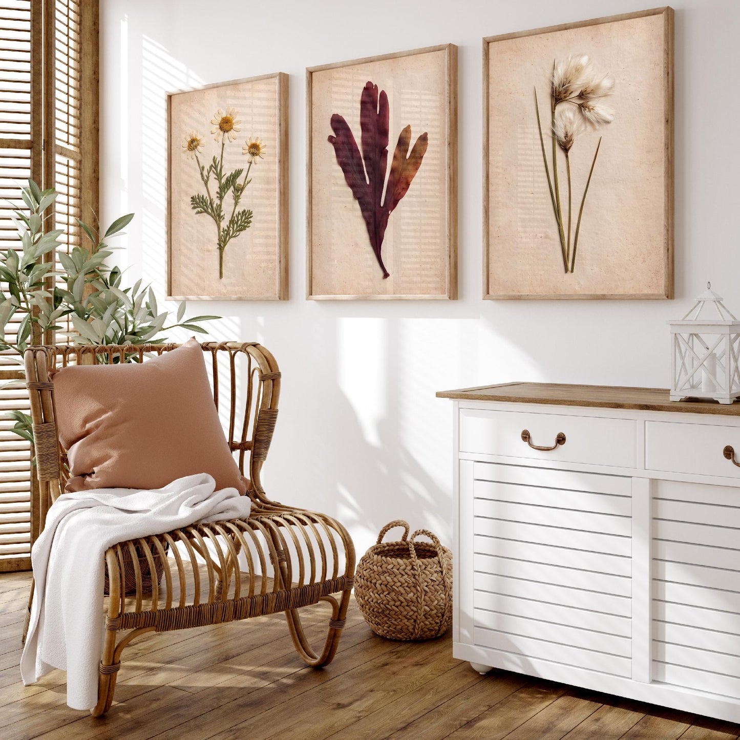 Shetland Shoreline Set of Three Art Prints - Sea Mayweed Dulse Seaweed Cotton Grass - Pressed Coastal Botanical Poster Photo