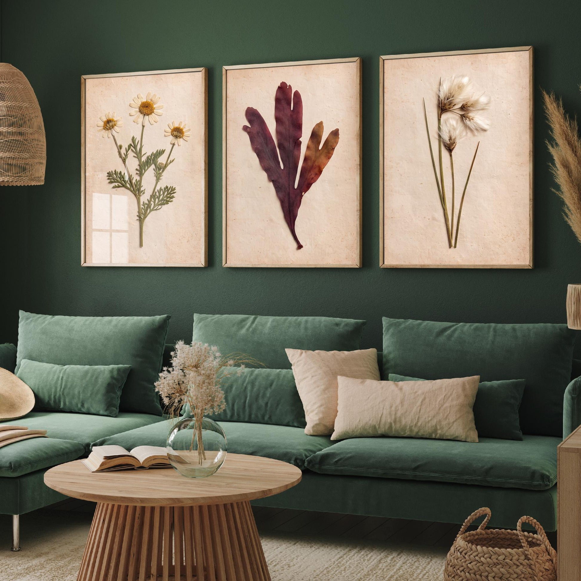 Shetland Shoreline Set of Three Art Prints - Sea Mayweed Dulse Seaweed Cotton Grass - Pressed Coastal Botanical Poster Photo