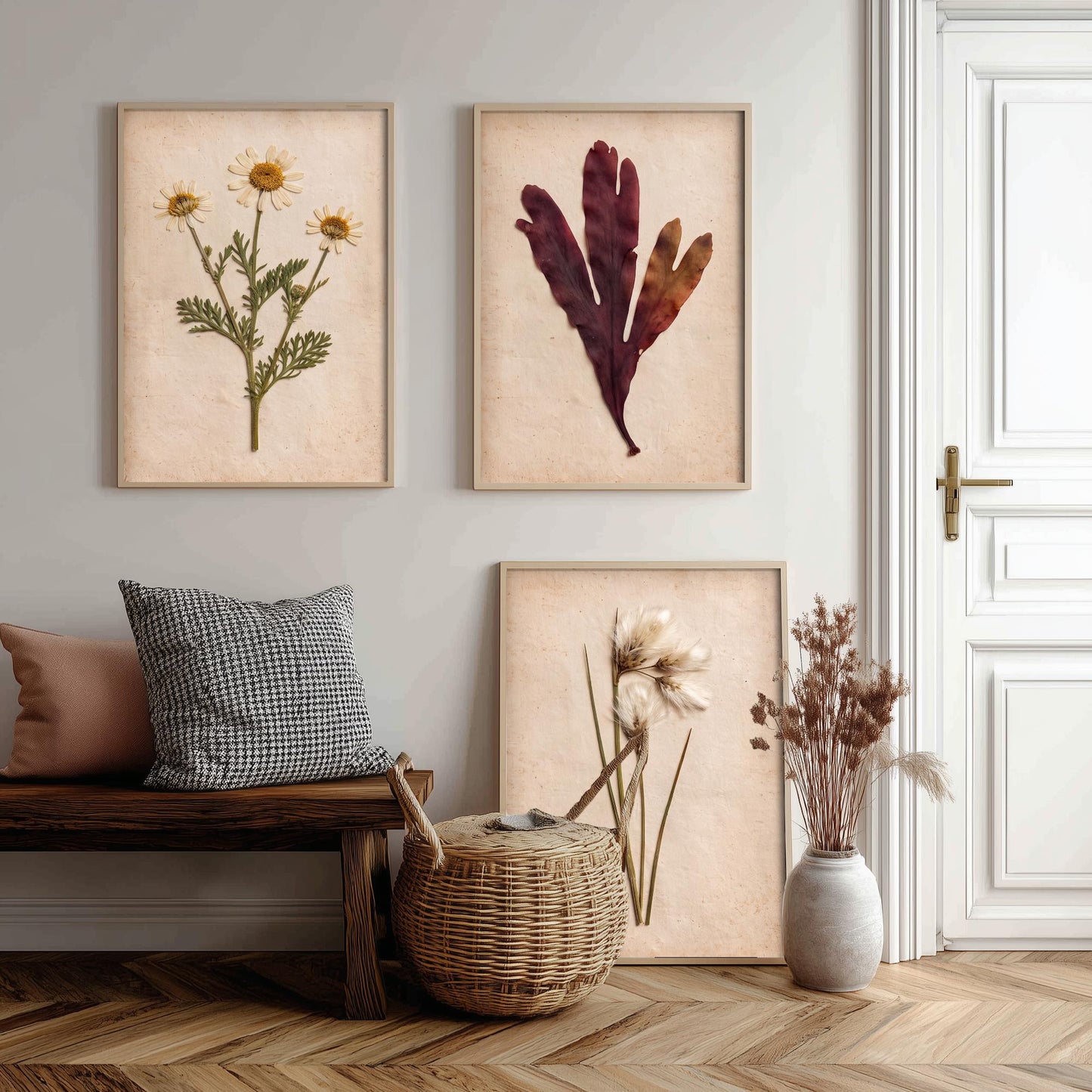 Shetland Shoreline Set of Three Art Prints - Sea Mayweed Dulse Seaweed Cotton Grass - Pressed Coastal Botanical Poster Photo