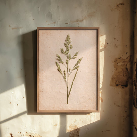 Meadow Grass Art Print - Pressed Grass Vintage Herbarium Photo - Wild Hedgerow Botanical Poster 2/3