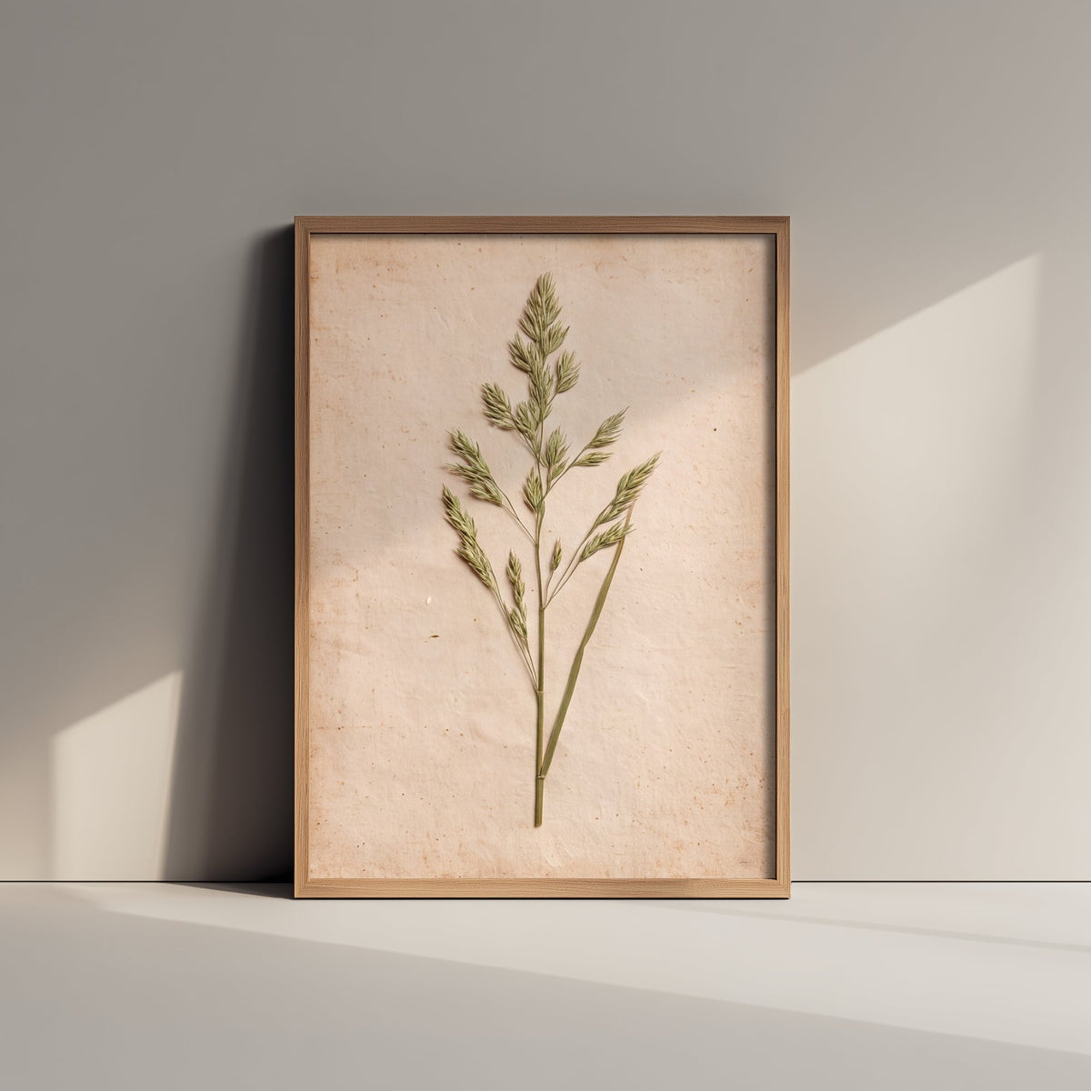 Meadow Grass Art Print - Pressed Grass Vintage Herbarium Photo - Wild Hedgerow Botanical Poster 2/3