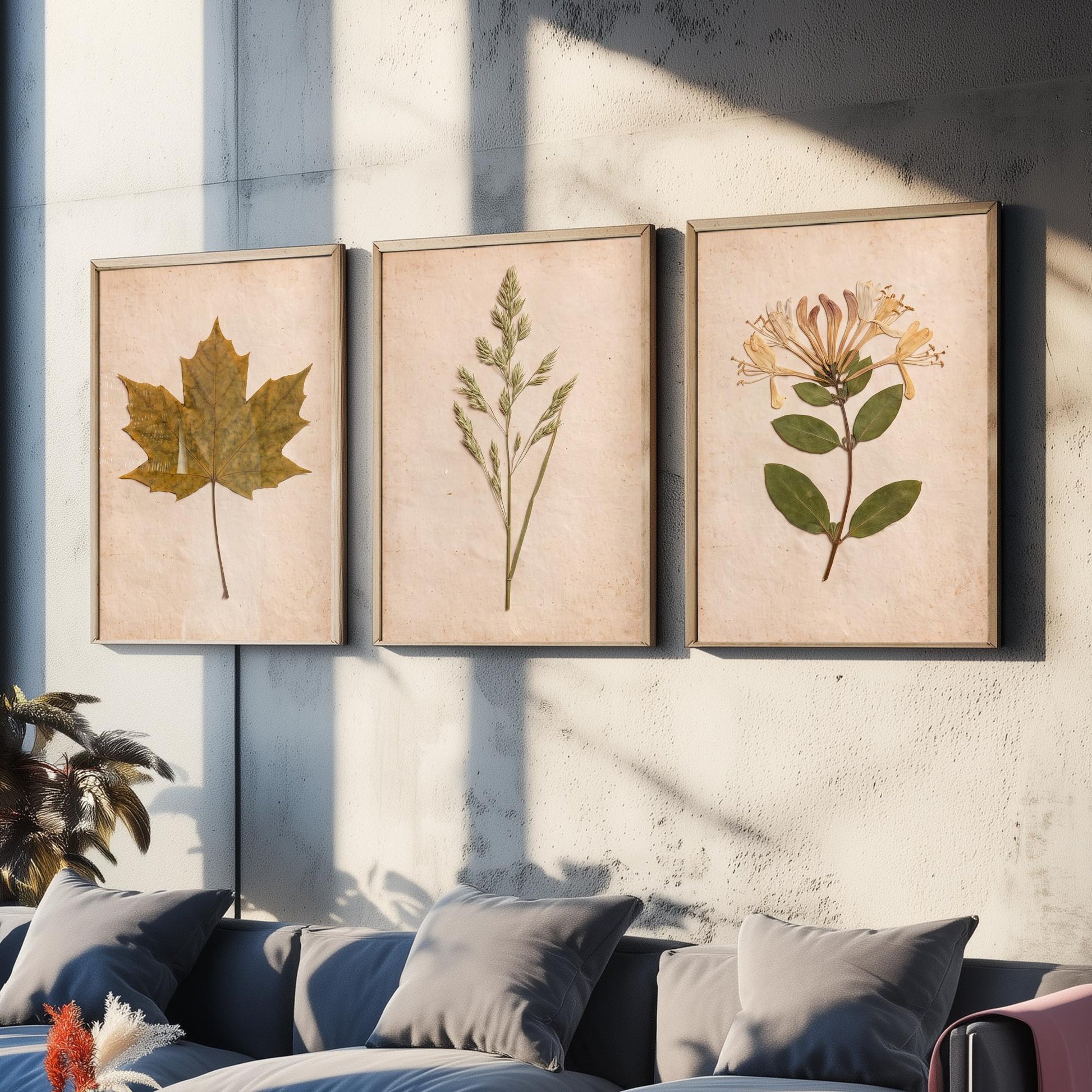 Pressed Botanicals Set of Three Art Prints - Sycamore Leaf Meadow Grass Honeysuckle - Vintage Hedgerow Herbarium Poster Photo