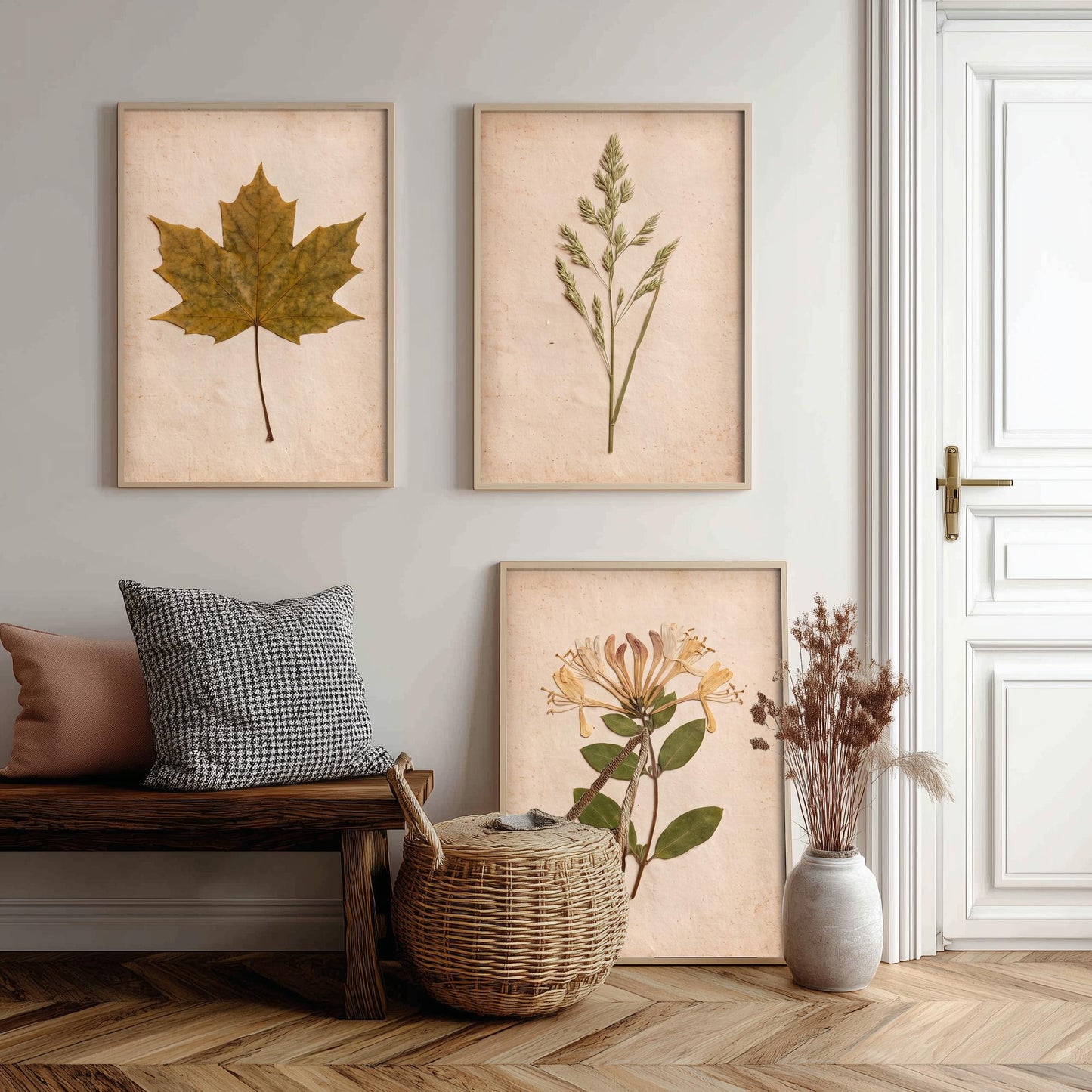 Pressed Botanicals Set of Three Art Prints - Sycamore Leaf Meadow Grass Honeysuckle - Vintage Hedgerow Herbarium Poster Photo