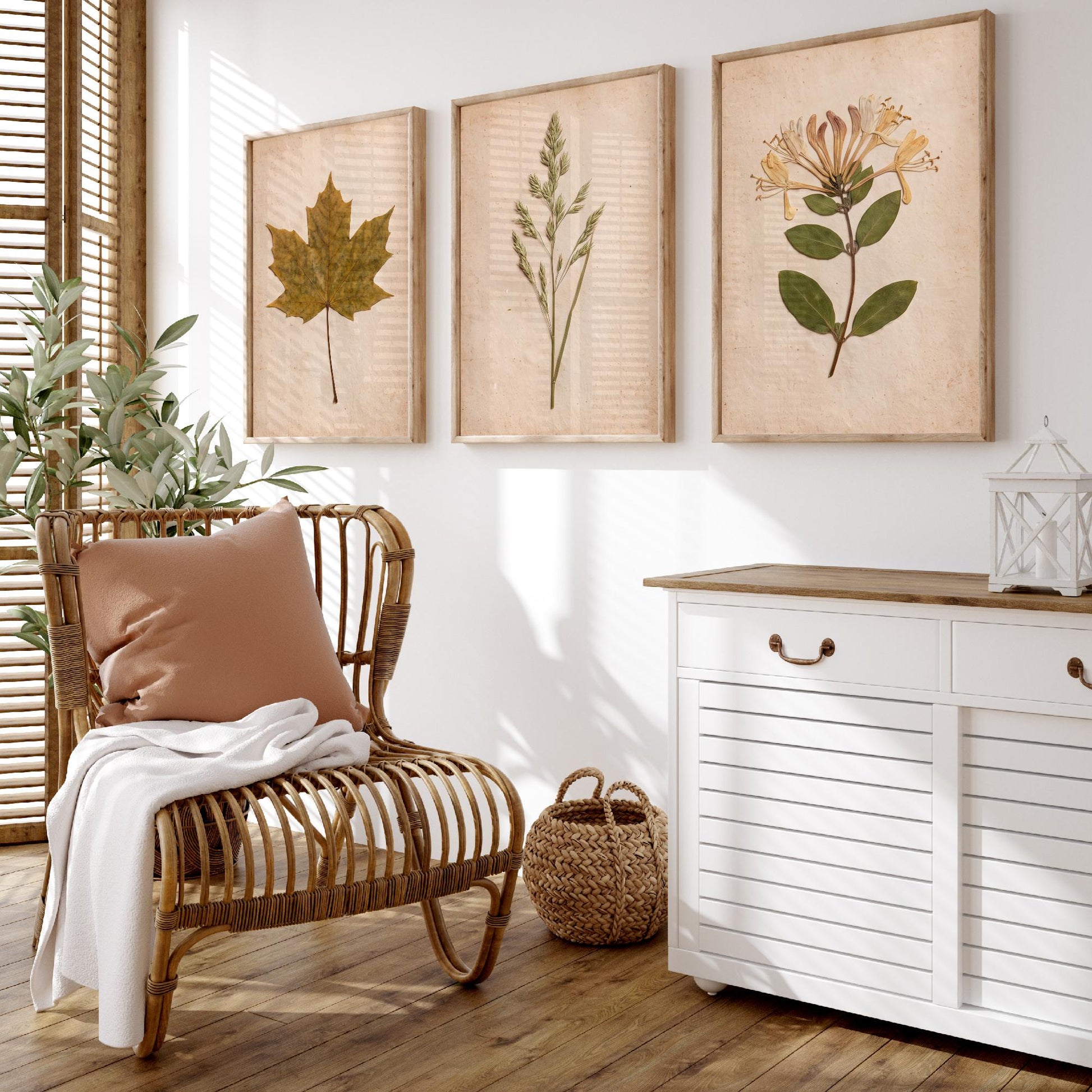 Pressed Botanicals Set of Three Art Prints - Sycamore Leaf Meadow Grass Honeysuckle - Vintage Hedgerow Herbarium Poster Photo