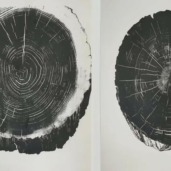 Set of Three Tree Rings Linocut Black and White Triptych - 3 Natural Pattern Art Prints - Photo Poster Wall Gift, Wood Wooden Painting