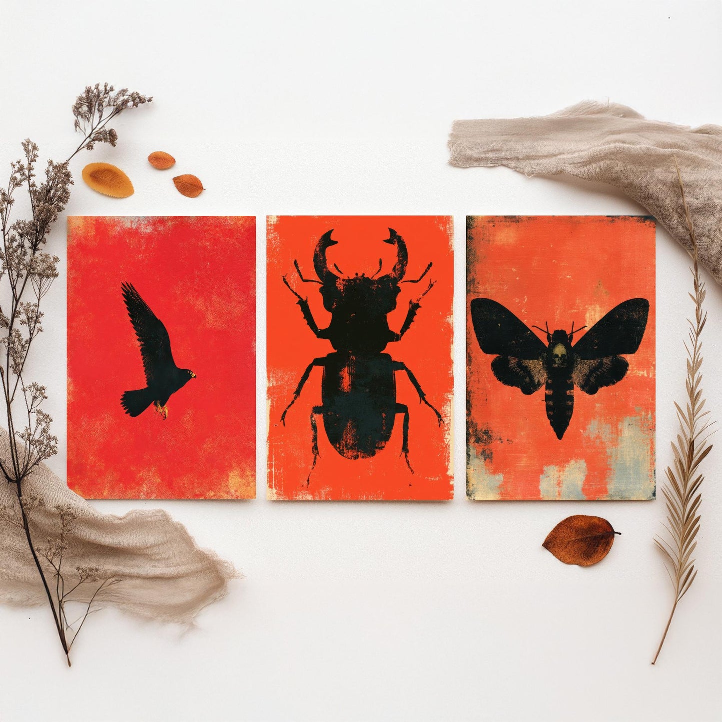 Red Felt Set of Three Art Prints - Peregrine Falcon, Stag Beetle, Death's Head Hawkmoth - Bold Red and Black Posters - Gothic Illustration