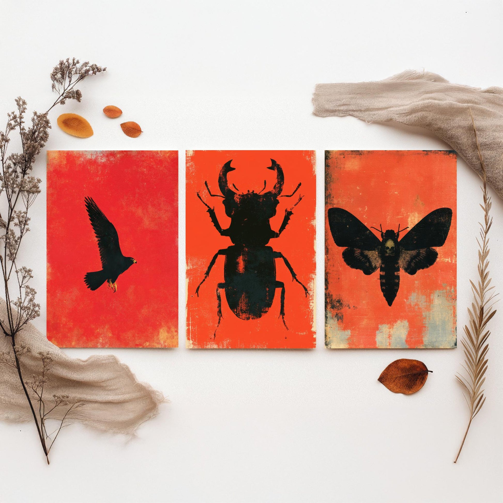Red Felt Set of Three Art Prints - Peregrine Falcon, Stag Beetle, Death's Head Hawkmoth - Bold Red and Black Posters - Gothic Illustration