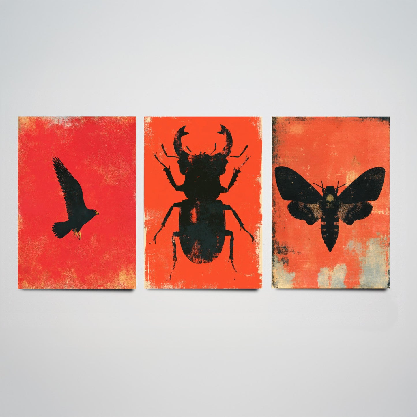 Red Felt Set of Three Art Prints - Peregrine Falcon, Stag Beetle, Death's Head Hawkmoth - Bold Red and Black Posters - Gothic Illustration