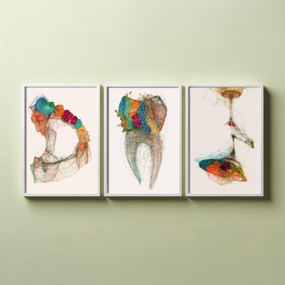 Dental Practice Set of Three Art Prints - Dental Arch, Molar, Overhead Lamp - Scientific Thread Illustration Poster