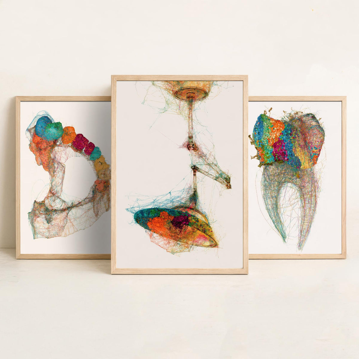 Dental Practice Set of Three Art Prints - Dental Arch, Molar, Overhead Lamp - Scientific Thread Illustration Poster