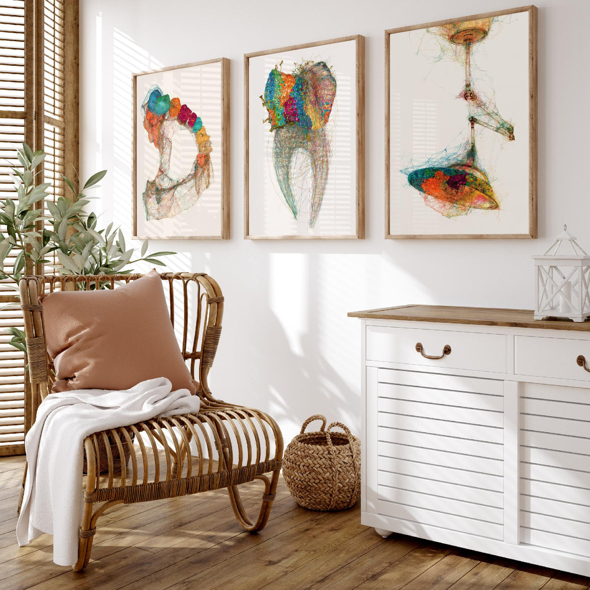 Dental Practice Set of Three Art Prints - Dental Arch, Molar, Overhead Lamp - Scientific Thread Illustration Poster