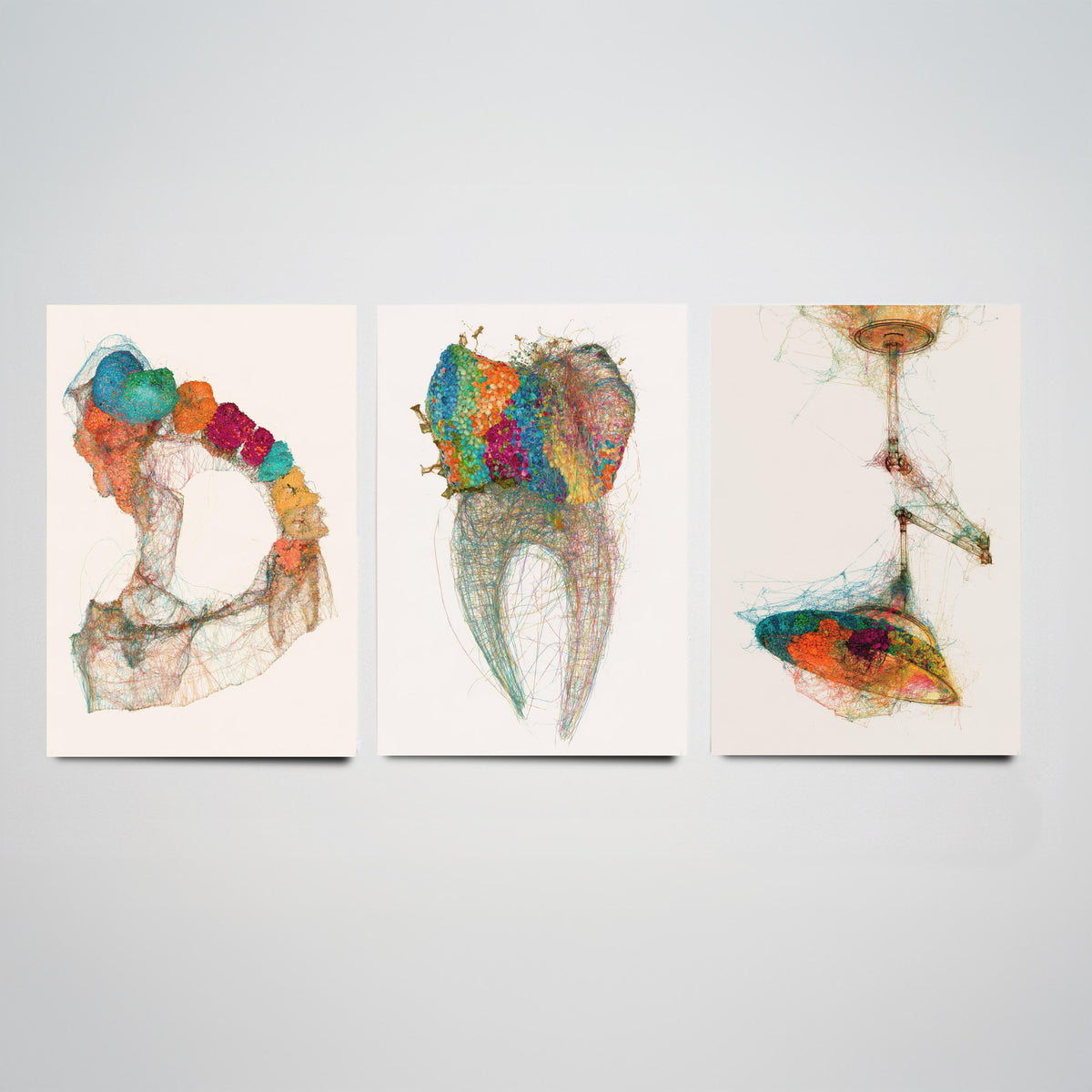 Dental Practice Set of Three Art Prints - Dental Arch, Molar, Overhead Lamp - Scientific Thread Illustration Poster
