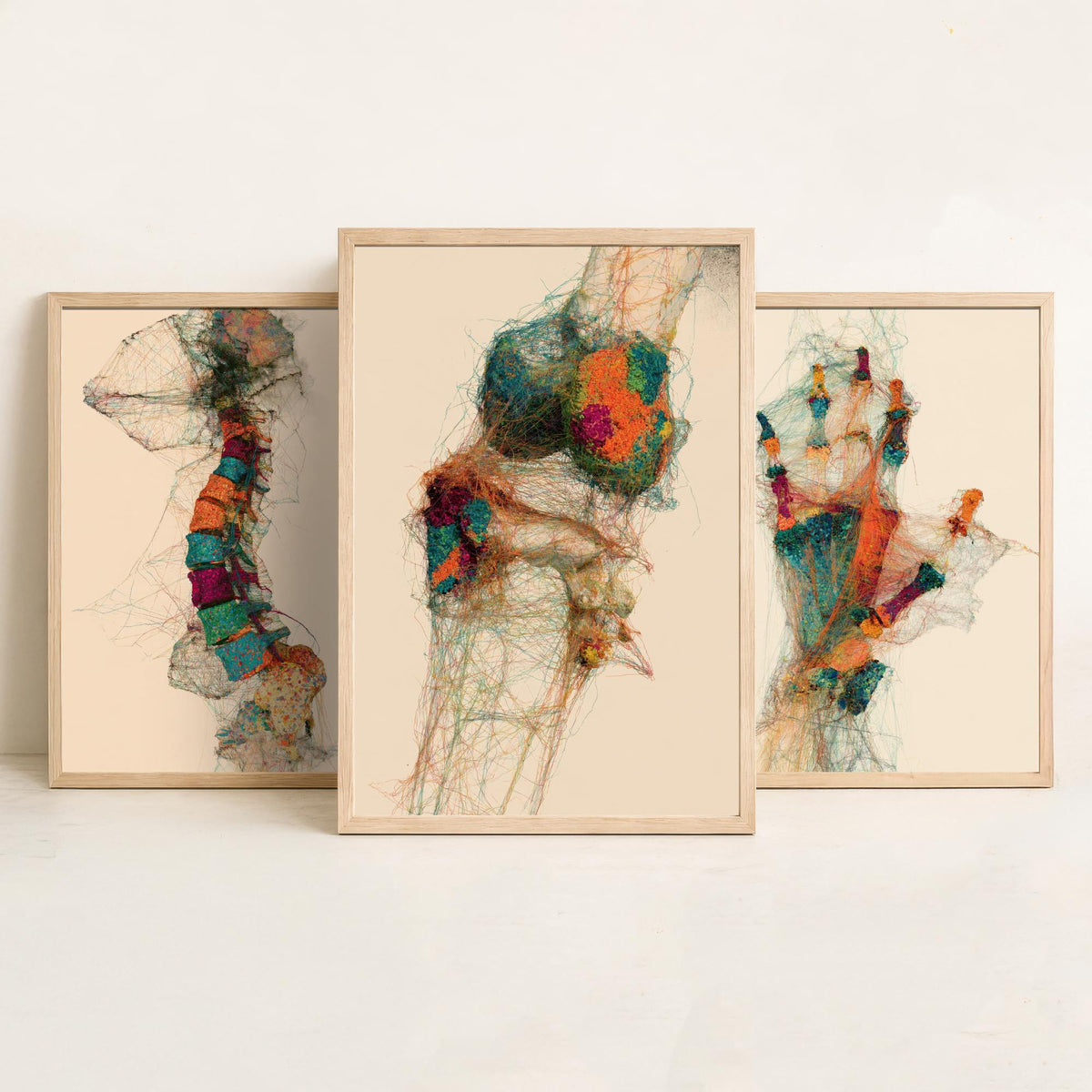 Physiotherapy Clinic Set of Three Art Prints - Spine, Hand, Knee Joint - Anatomy Thread Illustration Poster