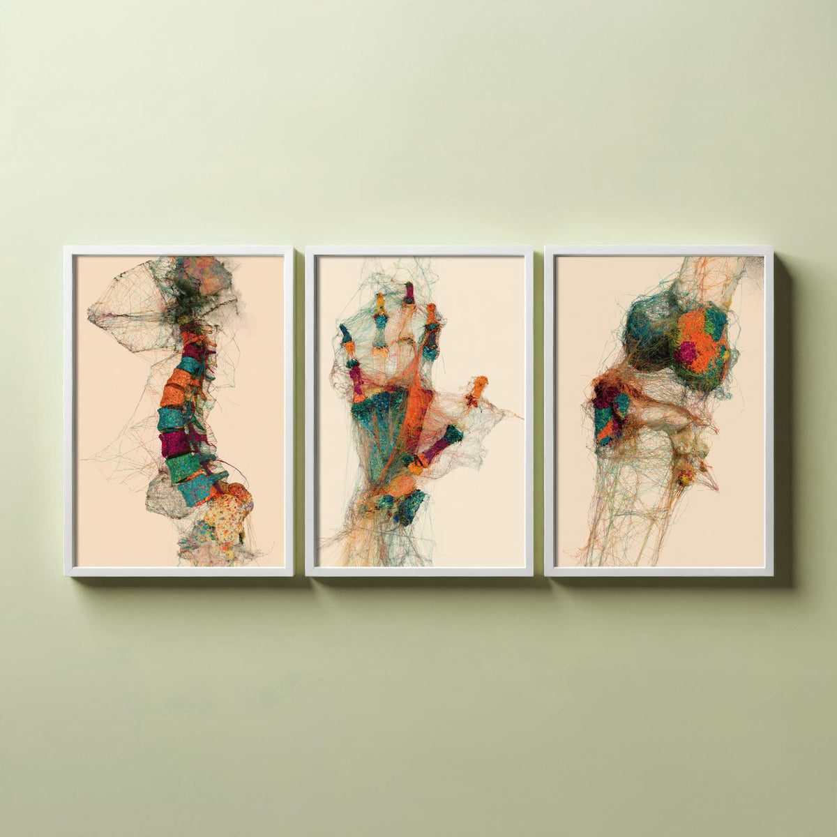 Physiotherapy Clinic Set of Three Art Prints - Spine, Hand, Knee Joint - Anatomy Thread Illustration Poster