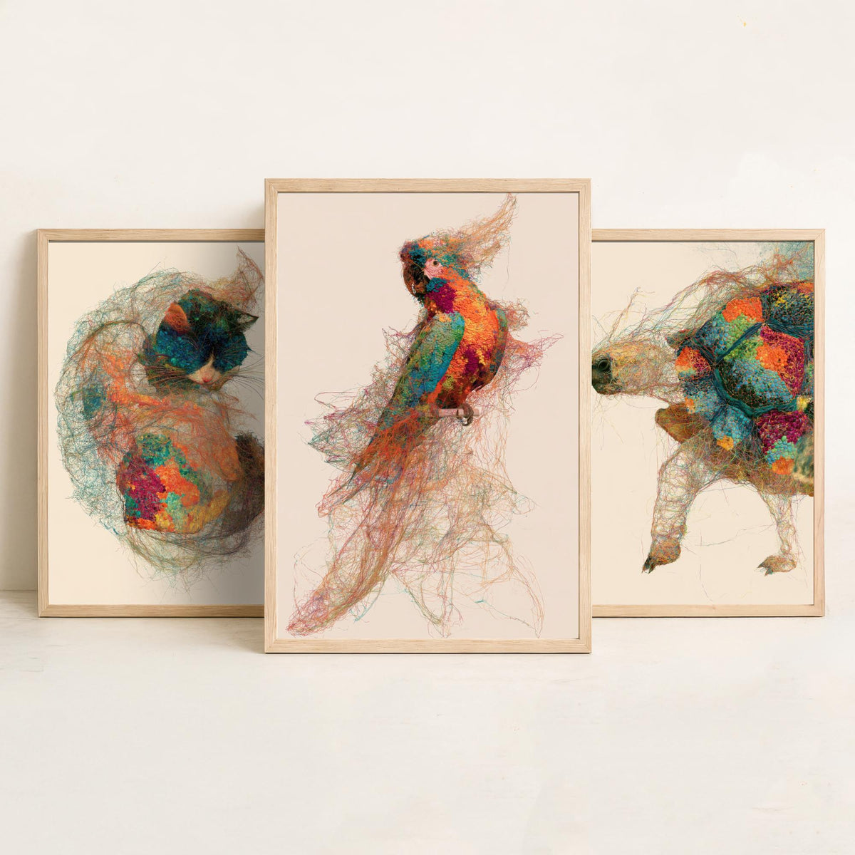 Veterinary Practice Set of Three Art Prints - Sleeping Cat, Tortoise, Parrot - Animal Thread Illustration Poster